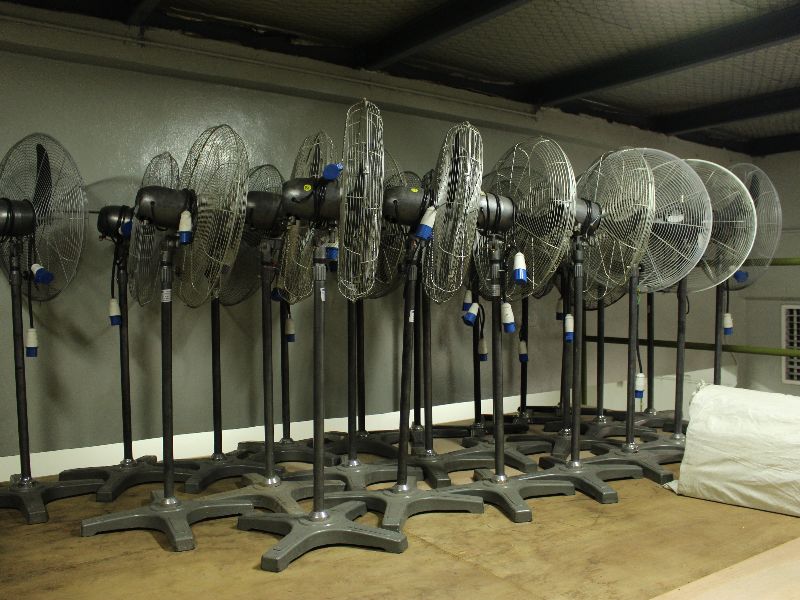 Industrial stand fan fleet in a warehouse